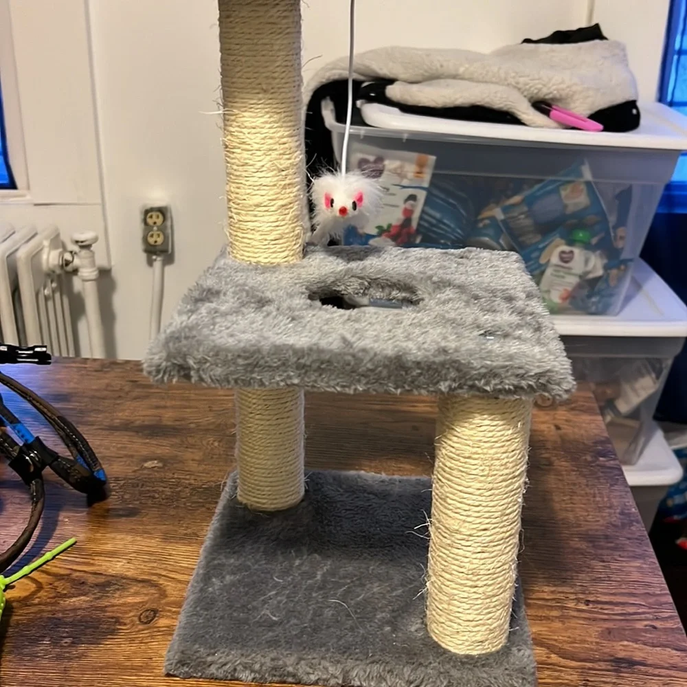 kitten tower new